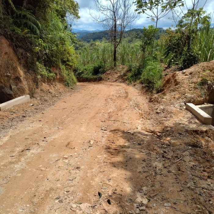 SANROQUE 9